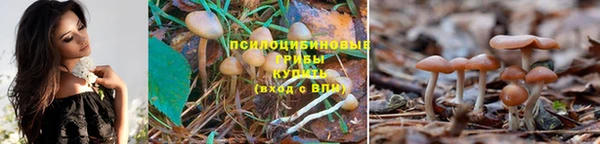 молекула духа Бронницы
