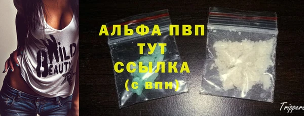 экстази Бородино