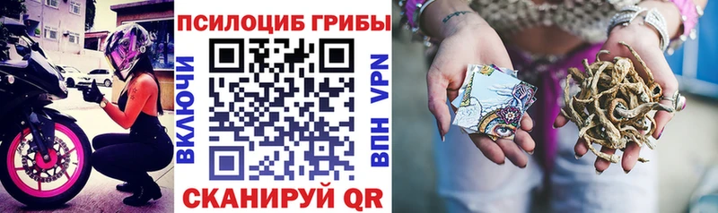 Псилоцибиновые грибы MAGIC MUSHROOMS  где можно купить   Рузаевка 